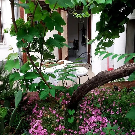 House - Dama Apartman Split